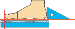 足長の測り方